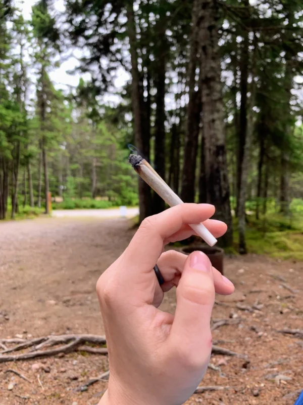 How to Easily Roll Joints