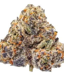 Ice Cream Waffle Cone