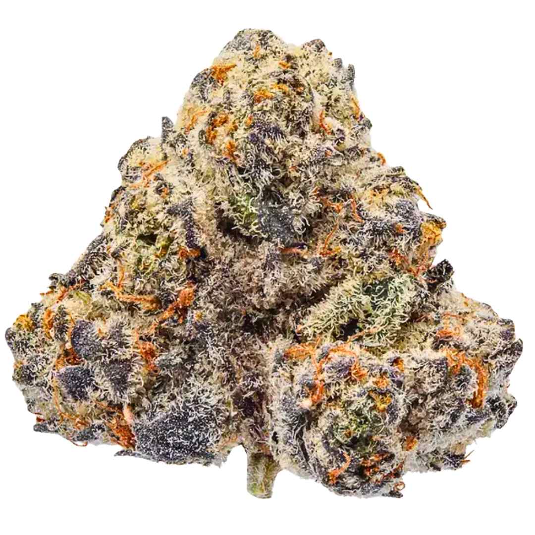 Ice Cream Waffle Cone