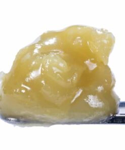 Hash Burger THCa Live Hash Rosin