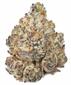 Lemon Cherry Gelato