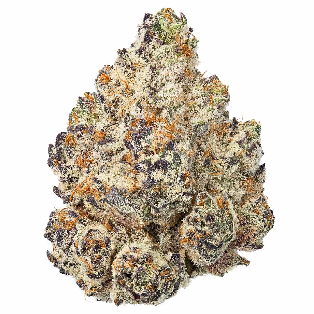 Lemon Cherry Gelato